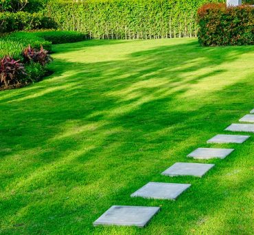 Pathway in garden,green lawns with bricks pathways,garden landscape design