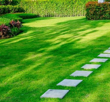 Pathway in garden,green lawns with bricks pathways,garden landsc Pathway in garden,green lawns with bricks pathways,garden landscape design