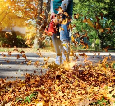 Man working with  leaf blower: the leaves are being swirled up and down on a sunny day