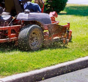 process of lawn mowing, lawnmower cutting grass with gardening tools and green grass around