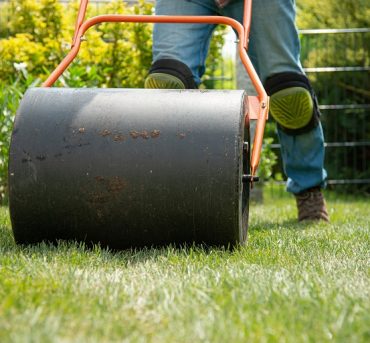 Installing turf rolls in the garden Man laying grass turf rolls for new garden lawn