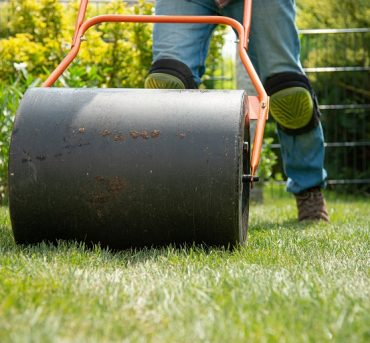 Man laying grass turf rolls for new garden lawn