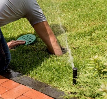 Irrigation system watering garden lawn. Landscape design. Irrigation system watering garden lawn. Landscape design. Gardening