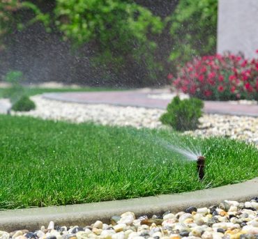 Sprinkler watering grass