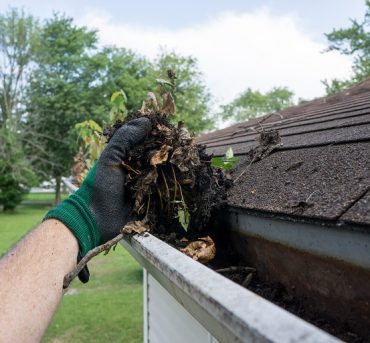 Cleaning Gutters Filled With Leaves & Sticks Cleaning gutters filled with leaves and sticks.