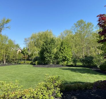 installed-lawn installed-lawn