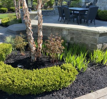 Enhance your landscape in Clarence, Lancaster, Amherst, Elma, and Hamburg with our professional tree and shrub installation services. From shade-providing trees to colorful shrubs, we'll create a vibrant outdoor environment that complements your property. Trust us for expert guidance on plant selection and placement to ensure long-lasting beauty and enjoyment